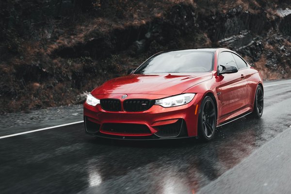 Titre : How Do UK Regulations Affect Pet Ownership?